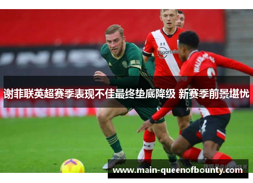 谢菲联英超赛季表现不佳最终垫底降级 新赛季前景堪忧